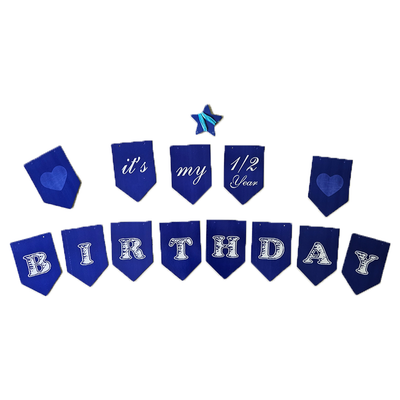 Half Year Birthday Banner Boy