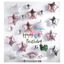 Multi Star Foil Balloons set 36 Pcs Rose Gold