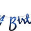Blue HBD Joint Banner